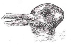 optical16-canard-lapin