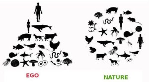 ego-nature