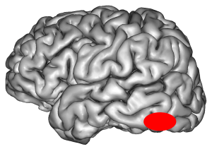 aire_visuelle_forme_mot